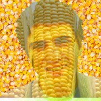Mujeres y hombres de maíz - 2ª año 2013